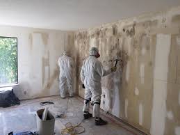 Best Real Estate Mold Inspection  in Keys, OK